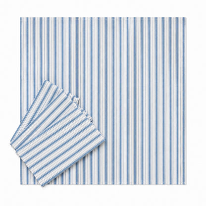 Blue Bouquet and Stripe Napkin Set